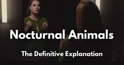 nocturnal animals opening scene